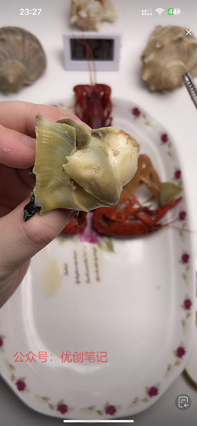 这种食品讲解类能吃不能…#情报-搞钱线报📢论坛-网创交流-优创圈